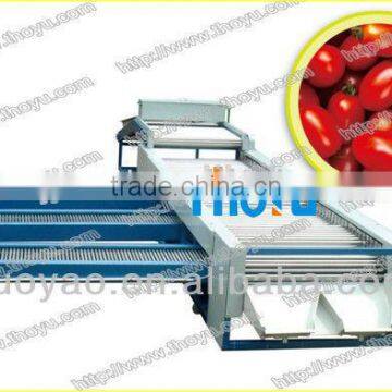 THOYU brand Stainless steel Dates Fruit Grading Machine by size(0086 15937167907)