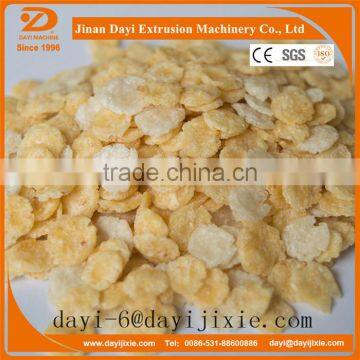 Automatic Extrusion Bread Crumb Extruder Making Machine photo-2