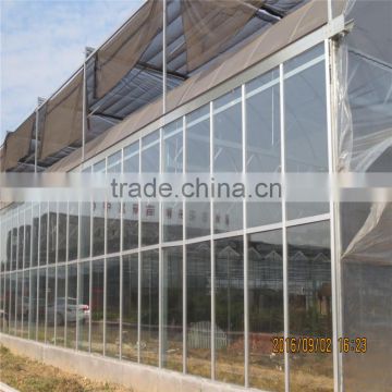 Brand new glass greenhouse for sale