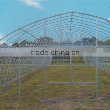 Low Cost Galvanized Steel Frame Greenhouse photo-4