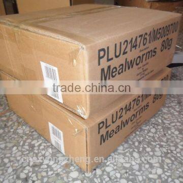 FDA Certification Tenebrio Molitors photo-4