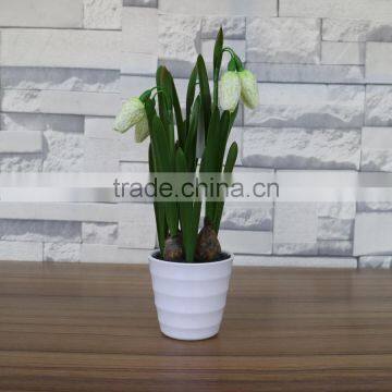 Table Artificial Mini Saussurea Flower Bonsai for Home and Commercial Decoration photo-3