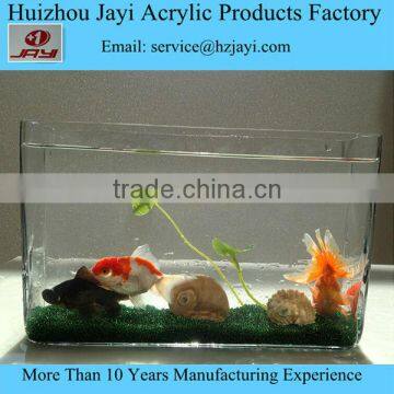 Hot Selling Aquarium Tank Fish photo-3