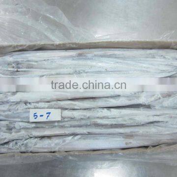 Frozen Belt Fish photo-3