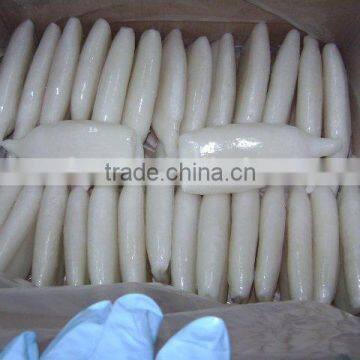 Frozen squid tube with nice quality