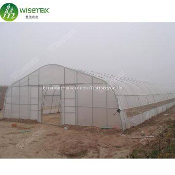 Hot sale commercial polycarbonale small single span greenhouse