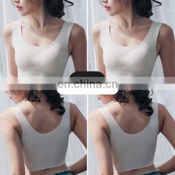 Manufacturer Sport Wear Yoga Bra Sports Bra for Wholesale photo-5