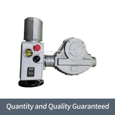 Bernard Induced Draft Fan Actuator B+RS800/F105Z Direct Angle Stroke Electric Actuator photo-2