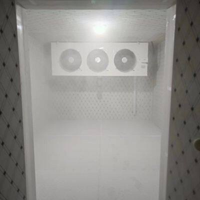Food Cold Storage on Zero,Cold Air Warehouse,Freezing Shop Floor photo-3