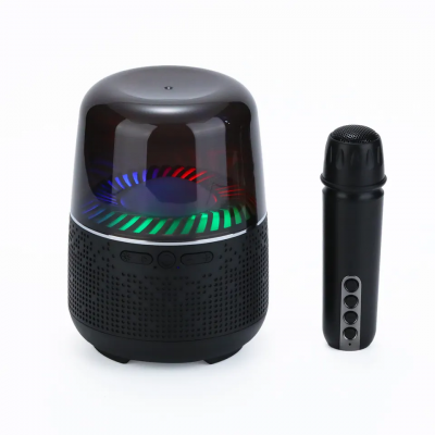 Outdoor Mini Speaker FM Radio Player UHF Bluetooth Karaoke Wireless Microphone speaker