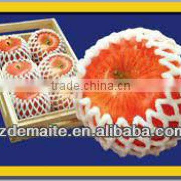 China Fruit Packaging Supplier