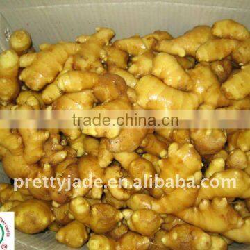 premium chinese yellow ginger