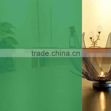Transparent Light Green Color Decorative Film for Home /office / Furniture/kitchen photo-5