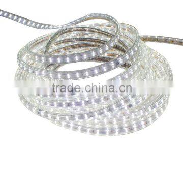 HUGEWIN Double Golden Lines 3528 Strips 120leds per Meter Smd Strip Lights 3528 220v photo-4