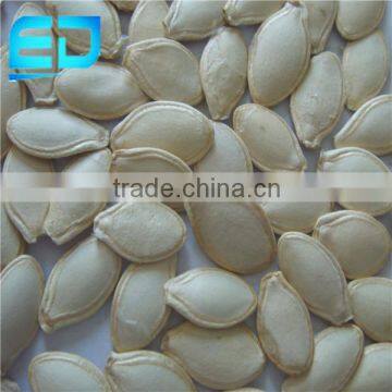 Types of Edible Nuts for Good Quality Shine Skin Pumpkin Seeds from China