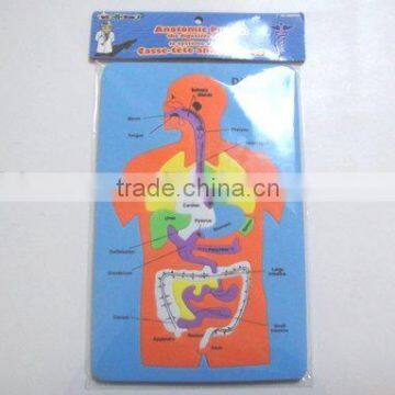 EVA digestive system craft