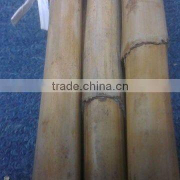 Clean Skin WATER Material Rattan