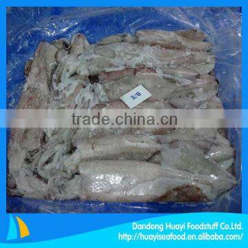 fresh clean frozen squid