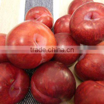 Fresh Apples , Cassava,pears, Plums for Sale