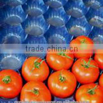 Factory Directly Competitive Price Plastic Food Delivery Packaging Tray