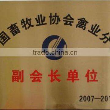 Vice Chairman of CAAA