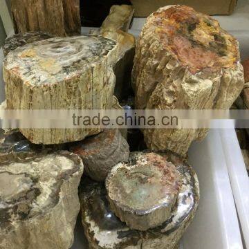 Natural Rock High Quality Fossil Wood Crystal Stones For Sale