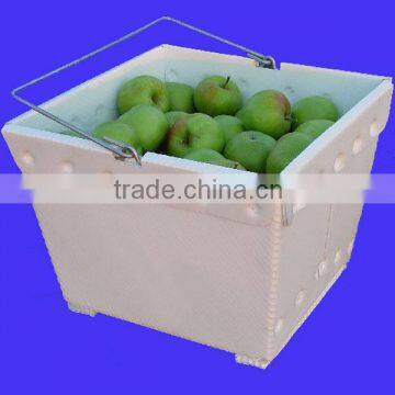 Plastic fruit storage box for keeping fruit fresh