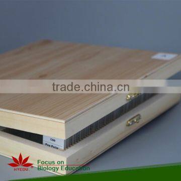 Microscope slide box wood