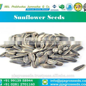 Sunflower Seeds Packing Machine