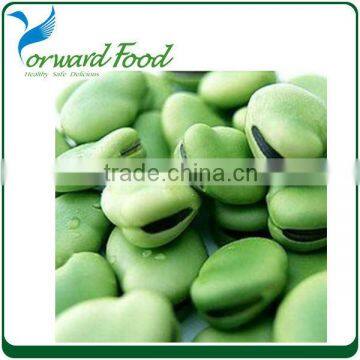 400g canned fava beans for sale