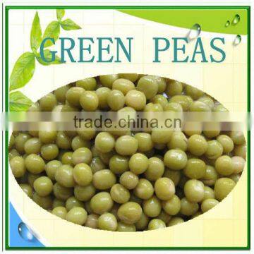 hot sale canned green peas