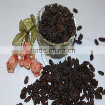 Low price sultanas raisin to eat