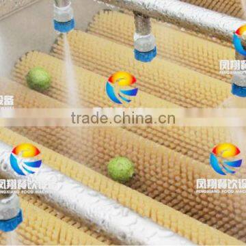 China Industrial Automatic Orange and Citrus Washing Machine photo-4