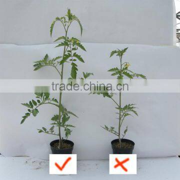 Brands Supplier Provide High Grade Agriculture Amino Acid Powder Fertilizer With Beautiful Package photo-3