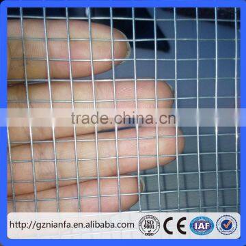 Manufacturer Price Hot Dipped Galvanized 1*1''/2*2'' Welded Wire Mesh (Guangzhou Factory)