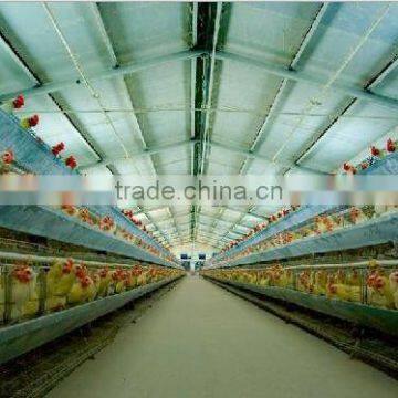 chicken farm machinery