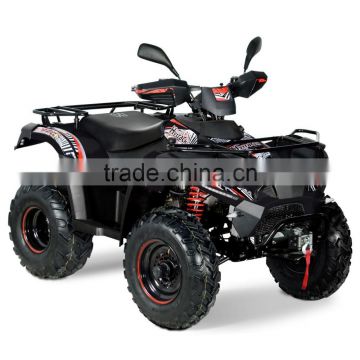 ATV 300 4x4