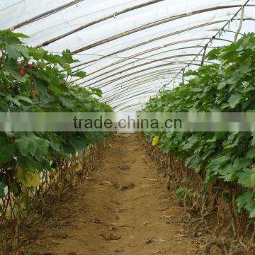 plastic film for greenhouse Plastic PE Film grape vegetable flower