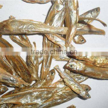 7 cm Freeze Dried Fish for Pet (turtle;lizard);Factory Price Dried Fish photo-2