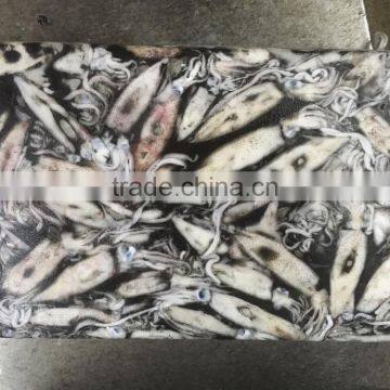 Wholesale 100g Whole Round BQF Block Frozen Loligo From China photo-3