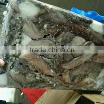 Frozen Giant Squid Peru Size 2kg Tentacles photo-3