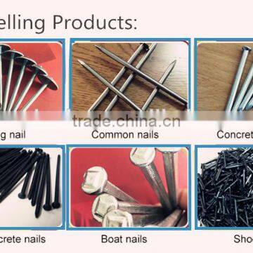 Полированные обычные проволочные гвозди photo-5