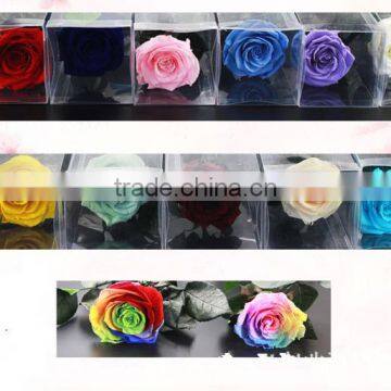 Fresh Preserved Flowers Roses With Long Stem In Gift photo-4