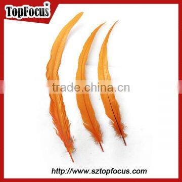 Dyed Color Big Long Natural Grizzly Rooster Feathers for Sale photo-4