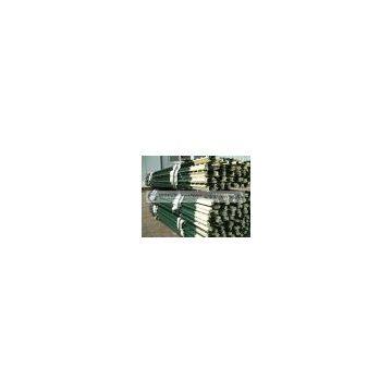 Green painted t post