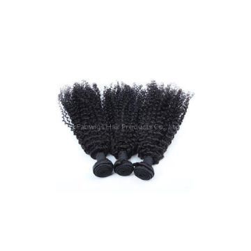 Kinky Curly Indian Virgin Hair Weft