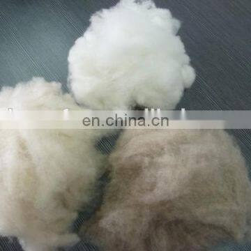 Sharrefun cashmere fiber price,36-38mmcashmere fiber natural white,Lt.grey,brown