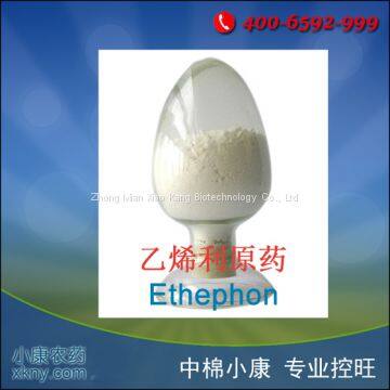 Ethephon photo-2