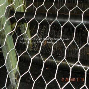 Poultry Wire Netting/Galvanized Chicken Wire