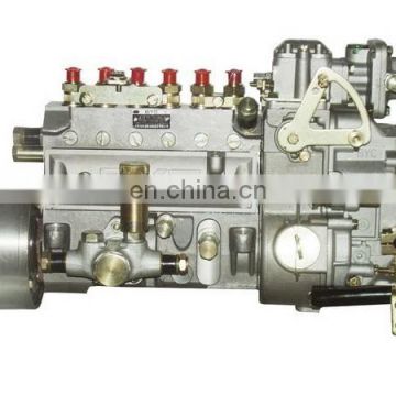 430D-1111010/10402166060/10 402 166 060 Diesel Fuel Injection Pump for YuChai 6108ZQ Engine